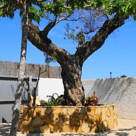 Marisol Pura Natura *